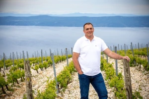 Od zapuštene zadruge do 500.000 trsova: U bračku "Stinu" ulažu još milijun eura
