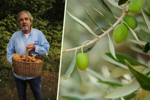 Legendarni urednik okrenuo se poljoprivredi - koje je sorte odabrao Đelo Hadžiselimović?