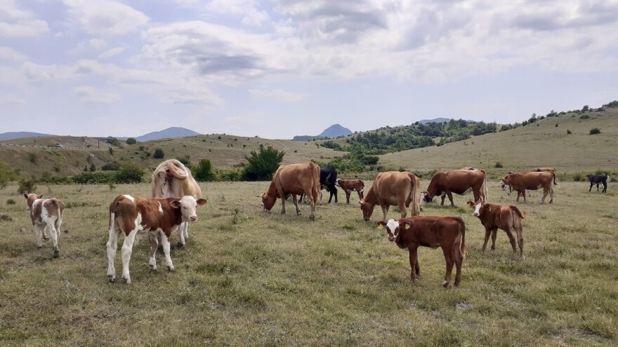 Rebalansom proračuna Ministarstvu poljoprivrede 221 milijun kuna više