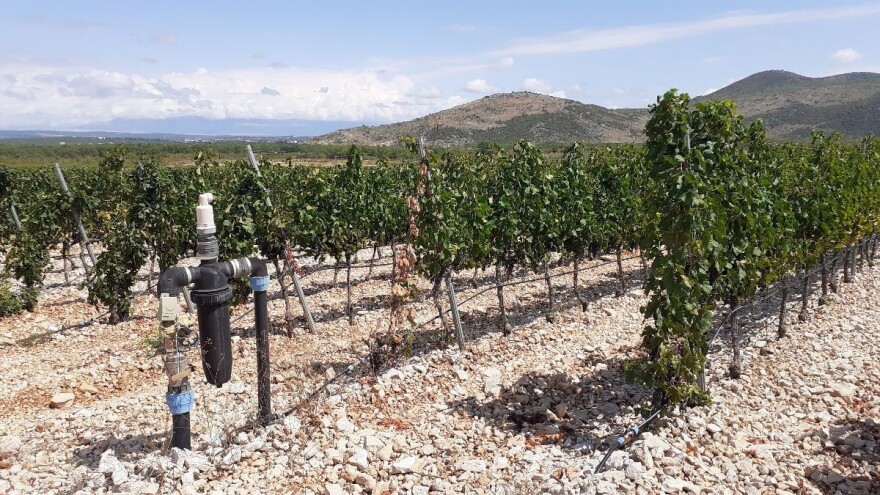 Gdje je Hrvatska kada je u pitanju navodnjavanje?