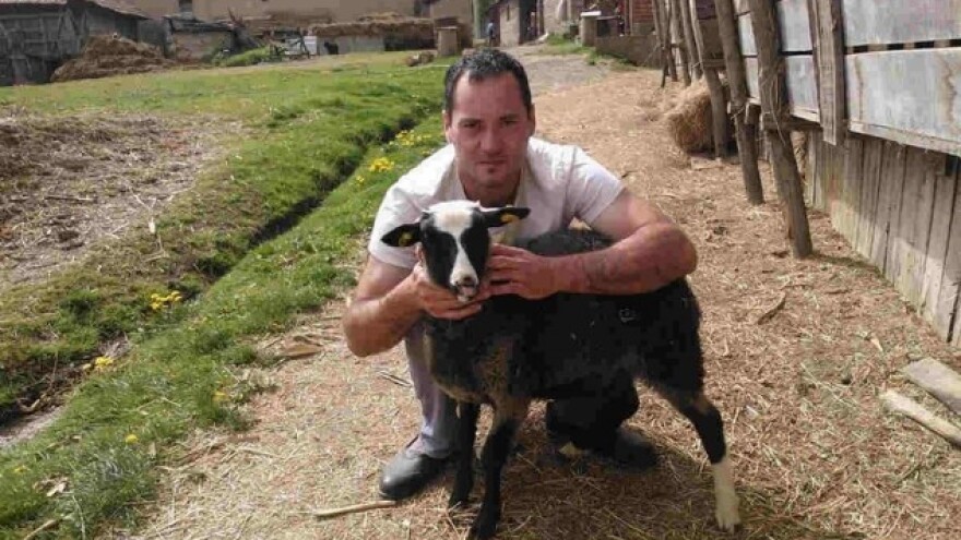 Romanovska rasa ispunila očekivanja odgajivača