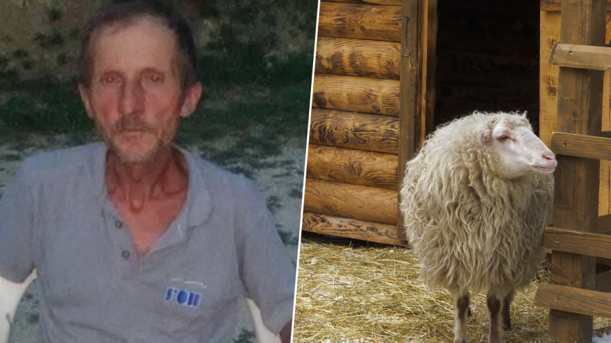 Ovce se vratile, od čobana Dursuma Bešića ni traga ni glasa već šest dana