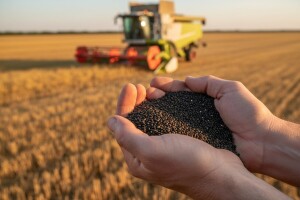 Odlični prinosi DEKALB uljane repice!