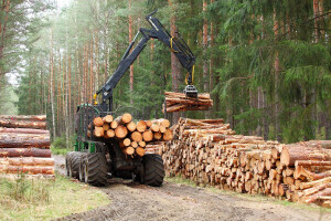 52,4 milijuna kuna potpore za preradu drva!