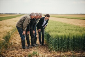 Održan Dan polja herbicidnih ogleda