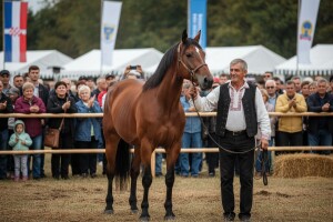 Održan sajam konja i opreme za konje