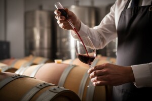 Održan seminar o proizvodnji crnih vina