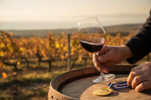 Održana Sabatina 2010.