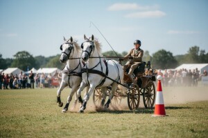 Održano prvenstvo Hrvatske u vožnji dvoprega
