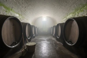 Održavanje podruma za čuvanje vina