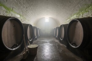 Održavanje podruma za čuvanje vina