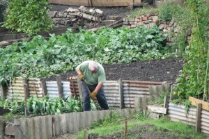 Do 50 tisuća kuna održivosti proizvodnje!
