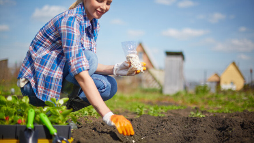 Održivi pravci u poljoprivredi