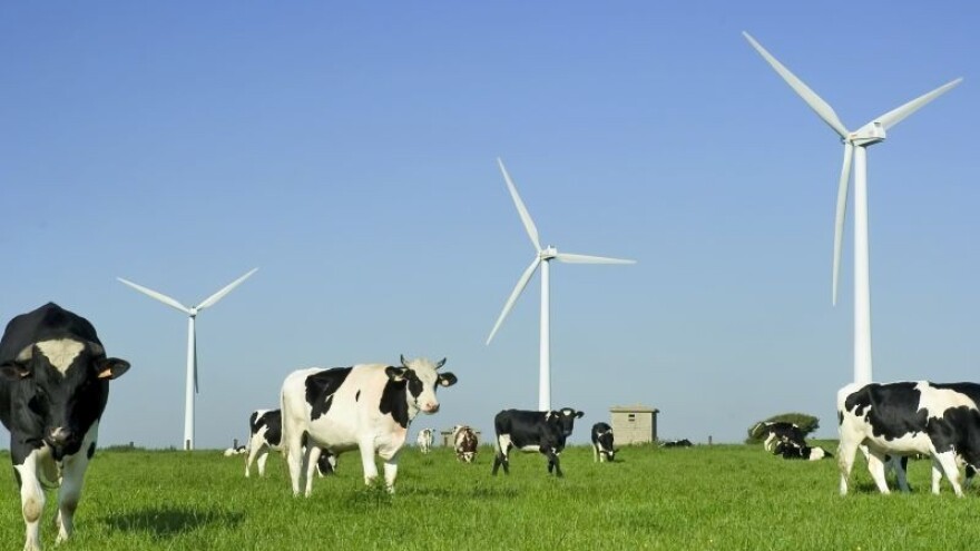 Što je to održivi razvoj i kako ga postići?