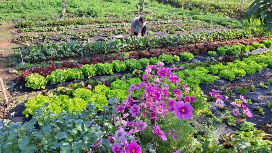Stvorili održivo imanje: Ako ekološki uzgoj hrane ne može prehraniti svijet, što može?