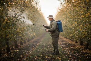 Odstranjivanje lišća UREOM u voćnjacima