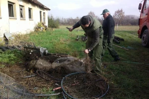 Uništeno 318 mreža u 2016. godini
