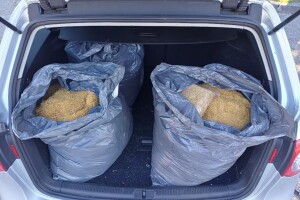 Džaba sitnili: Inspektori zaplijenili 550 kilograma duhana