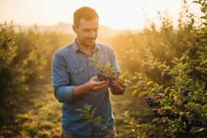 Odvažni agronaut zaljubljen u aroniju!