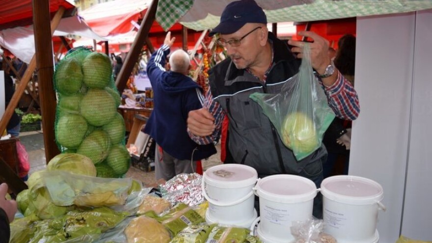 500 tona kupusa iz ogulinske braniteljske zadruge!