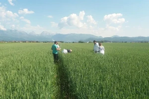 Ekspanzija Galenika Fitofarmacije na evropsko tržište