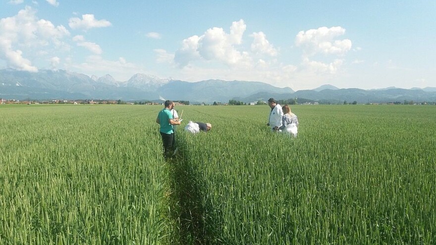 Ekspanzija Galenika Fitofarmacije na evropsko tržište