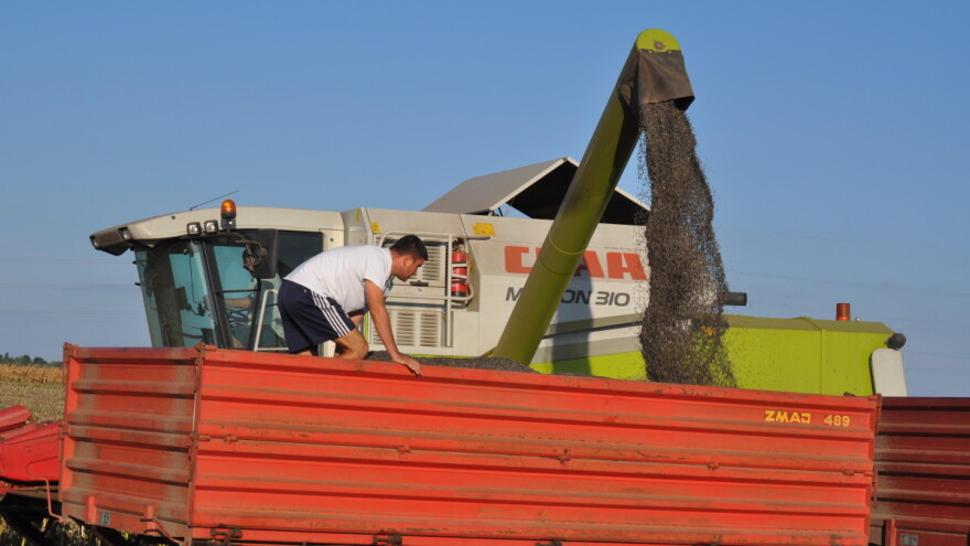 Kako podesiti kombajn za žetvu suncokreta?
