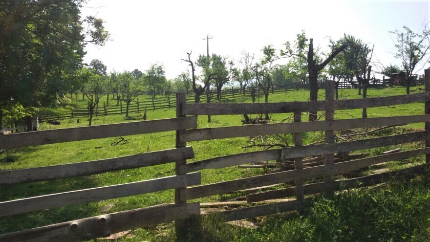 Moj deda govorio 'samo da nije gore' - a, kako je sad?