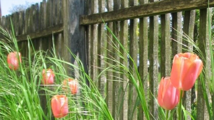 Nesposobnost povlačenja sredstava EU