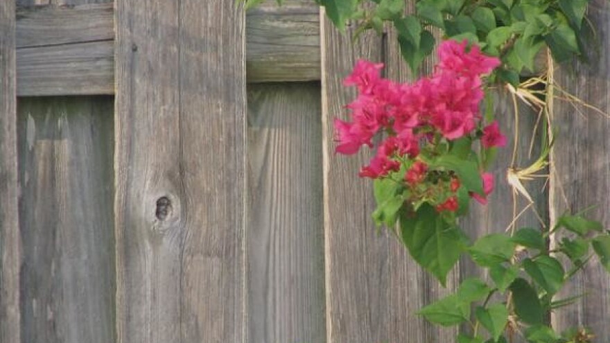 Zapreka EU fondovima domaća papirologija