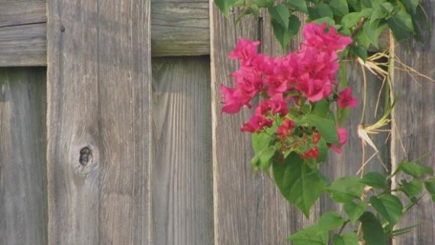 Podignuti optužni prijedlozi protiv vođa seljačkih prosvjeda