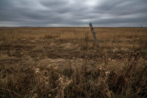 Oko 300.000 hektara poljoprivrednog zemljišta - mrtvi državni kapital