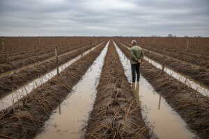 Oko 6.000 hektara zemljišta poplavljeno