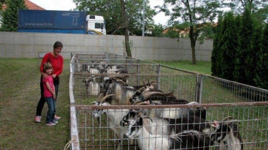 Potpore za poljoprivredno-okolišne mjere