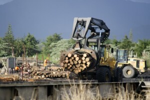 Poziv na Okrugli stol o drvnoj industriji