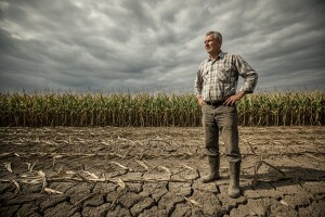 Okrugli stol na temu: Osiguranje u poljoprivredi