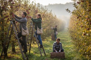 Okrugli stol o sezonskom zapošljavanju u poljoprivredi