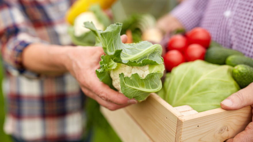 Oktobar: Priprema povrća za zimu