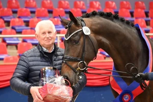 Oldenburški pastuh Besandro Gold prodan za 100.000 eura i seli u Australiju