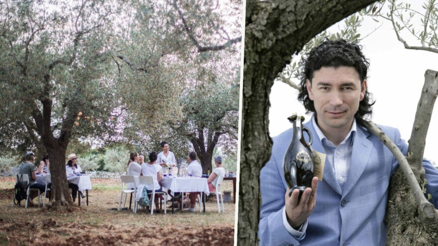 Oleoturizam: U desetak istarskih maslinika 190.000 turista!