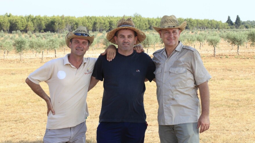 Tri istarska ratna veterana najbolji novi proizvođači u Flos Olei