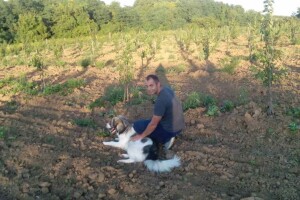 Iz ekonomije u voćarstvo pa u nasade badema i marelica, Oliver Pavić našao je svoj recept za uspjeh