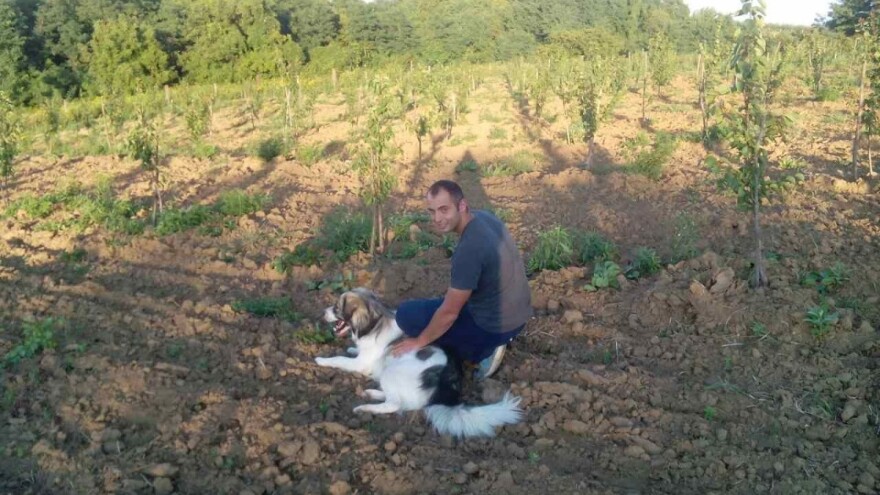 Iz ekonomije u voćarstvo pa u nasade badema i marelica, Oliver Pavić našao je svoj recept za uspjeh