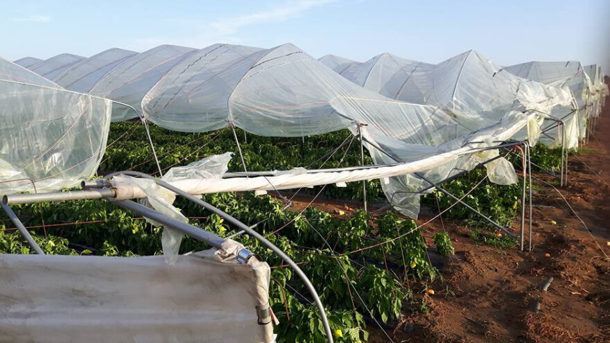 Vjetar trgao plastenike, led potukao voće i povrće