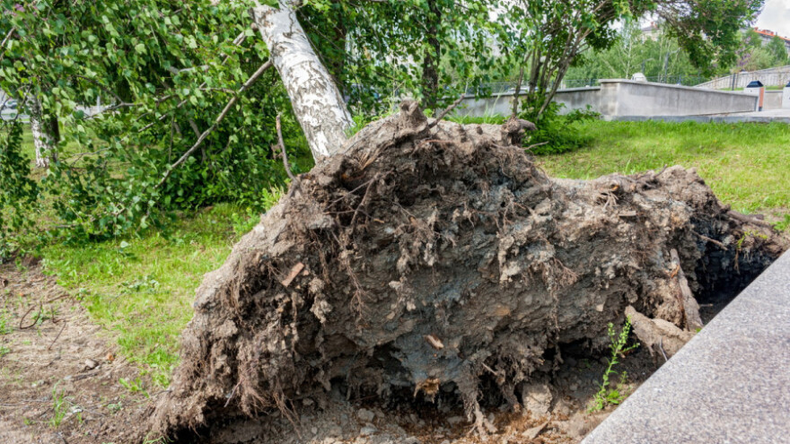 Znanstvenici u Puli o olujama i klimi