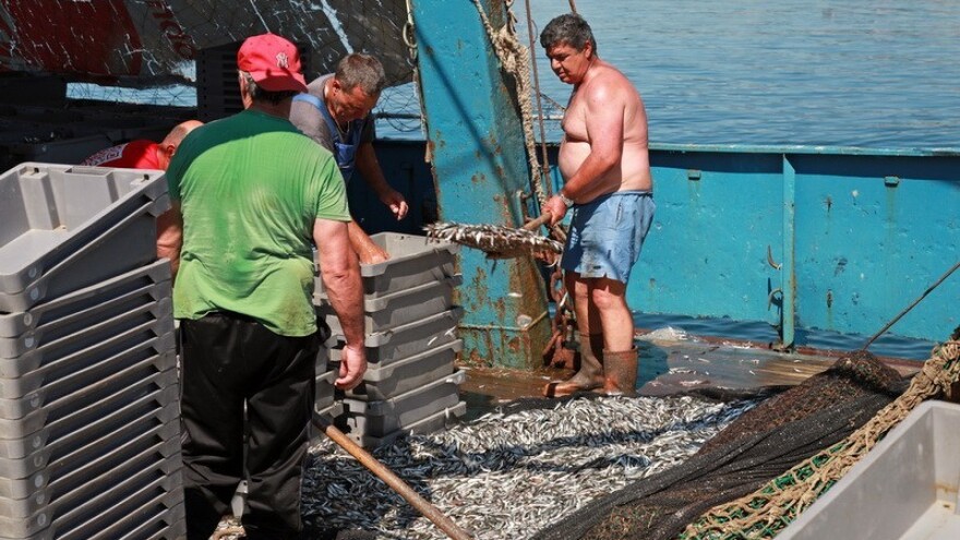 Ribari iz Omege 3 najbolji zadrugari!
