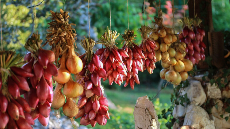 I Slavonci imaju adut protiv uvoznog sjemena