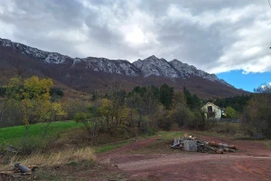 Ono što se nekada gajilo u nizijama, sada uspeva u planinskim područijima - kako to?