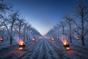 Opasnost i štete od kasnih proljetnih mrazova