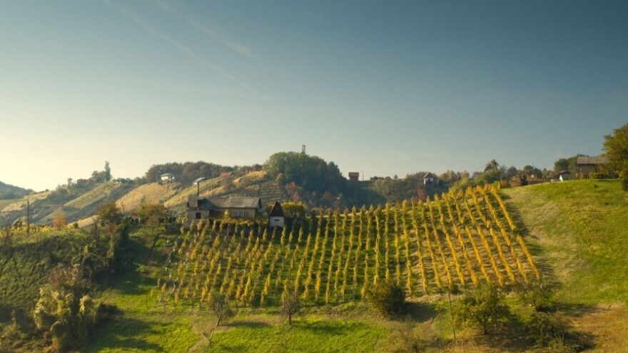 1,5 milijuna kuna iz IPARD-a Općini Cestice